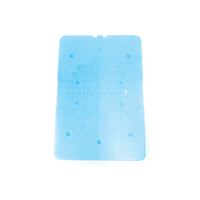 Companion Ice Brick Slim Large (650ml)