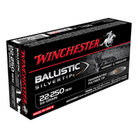 Winchester Supreme 22-250Rem 55gr BST