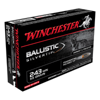 Winchester Supreme 243Win 55gr BST