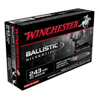 Winchester Supreme 243Win 95gr BST