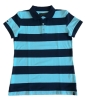 Picture of Pilbara Women's Y/D Striped Polo